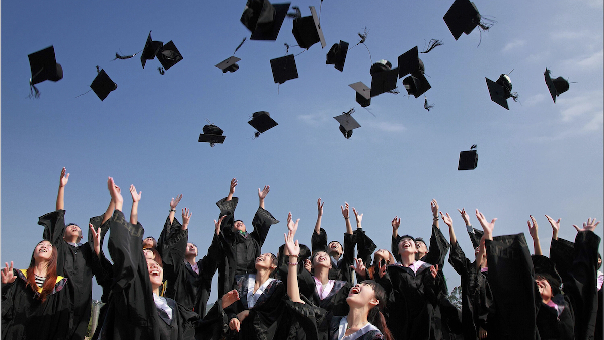 Are you in your Senior Year?